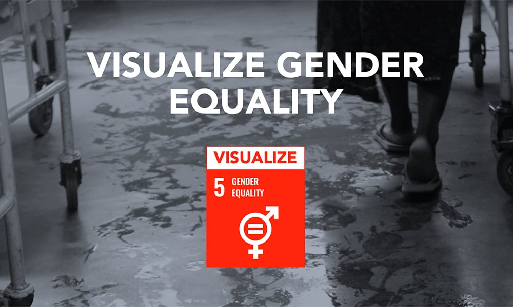 Visualize Gender Equality